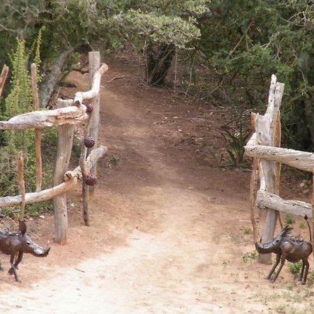 Addo Dung Beetle Guest Farm Villa Ngoại thất bức ảnh