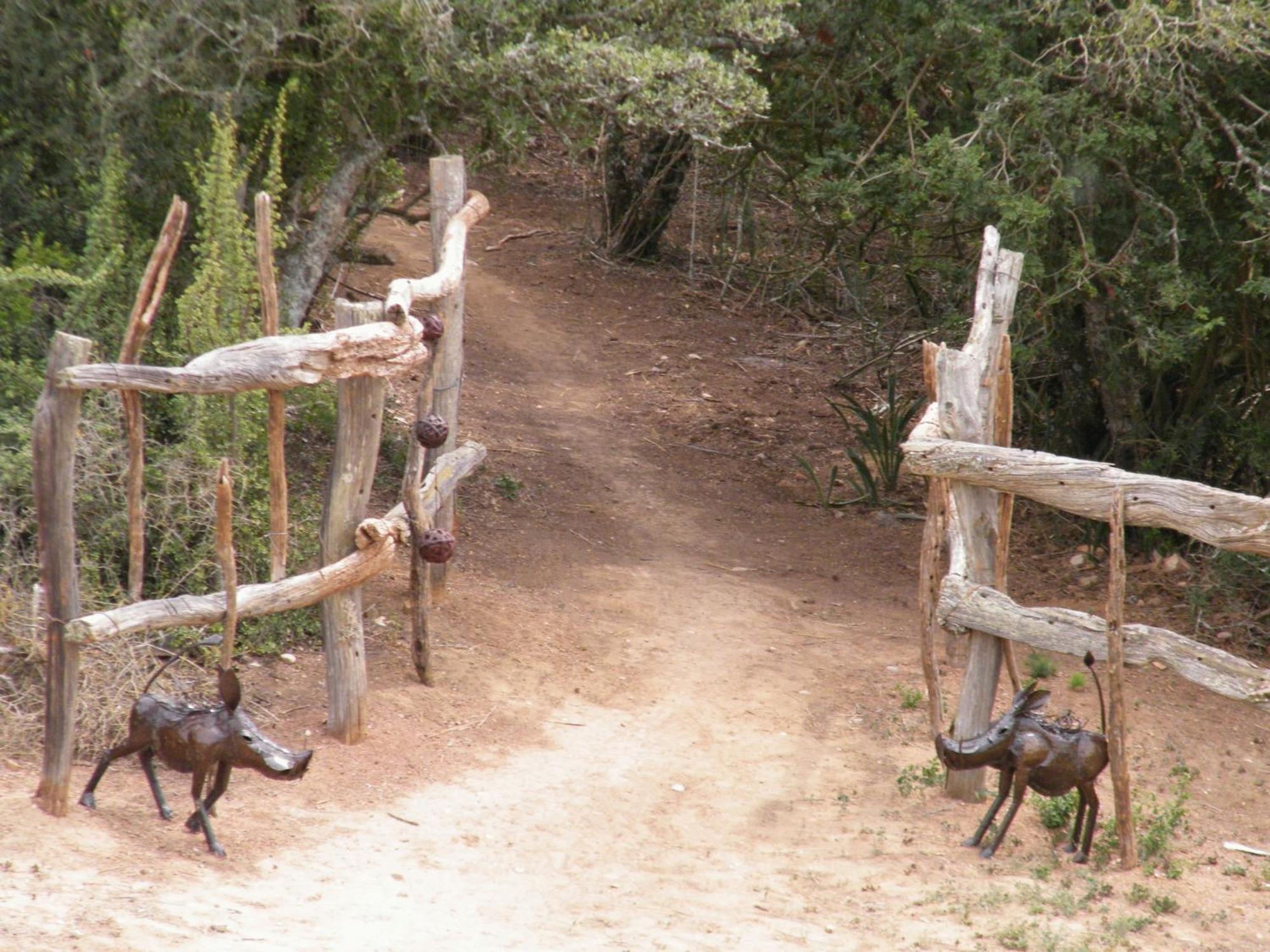 Addo Dung Beetle Guest Farm Villa Ngoại thất bức ảnh