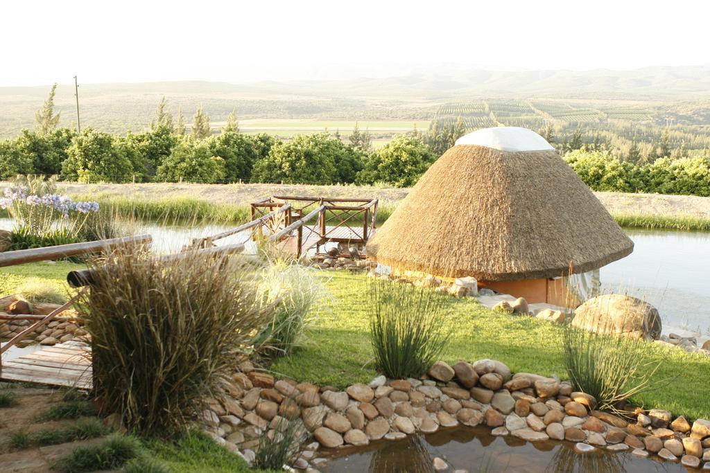 Addo Dung Beetle Guest Farm Villa Ngoại thất bức ảnh
