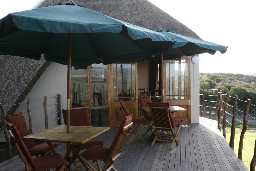 Addo Dung Beetle Guest Farm Villa Ngoại thất bức ảnh