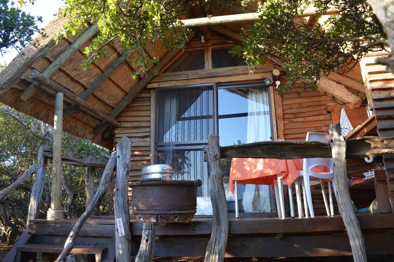 Addo Dung Beetle Guest Farm Villa Ngoại thất bức ảnh