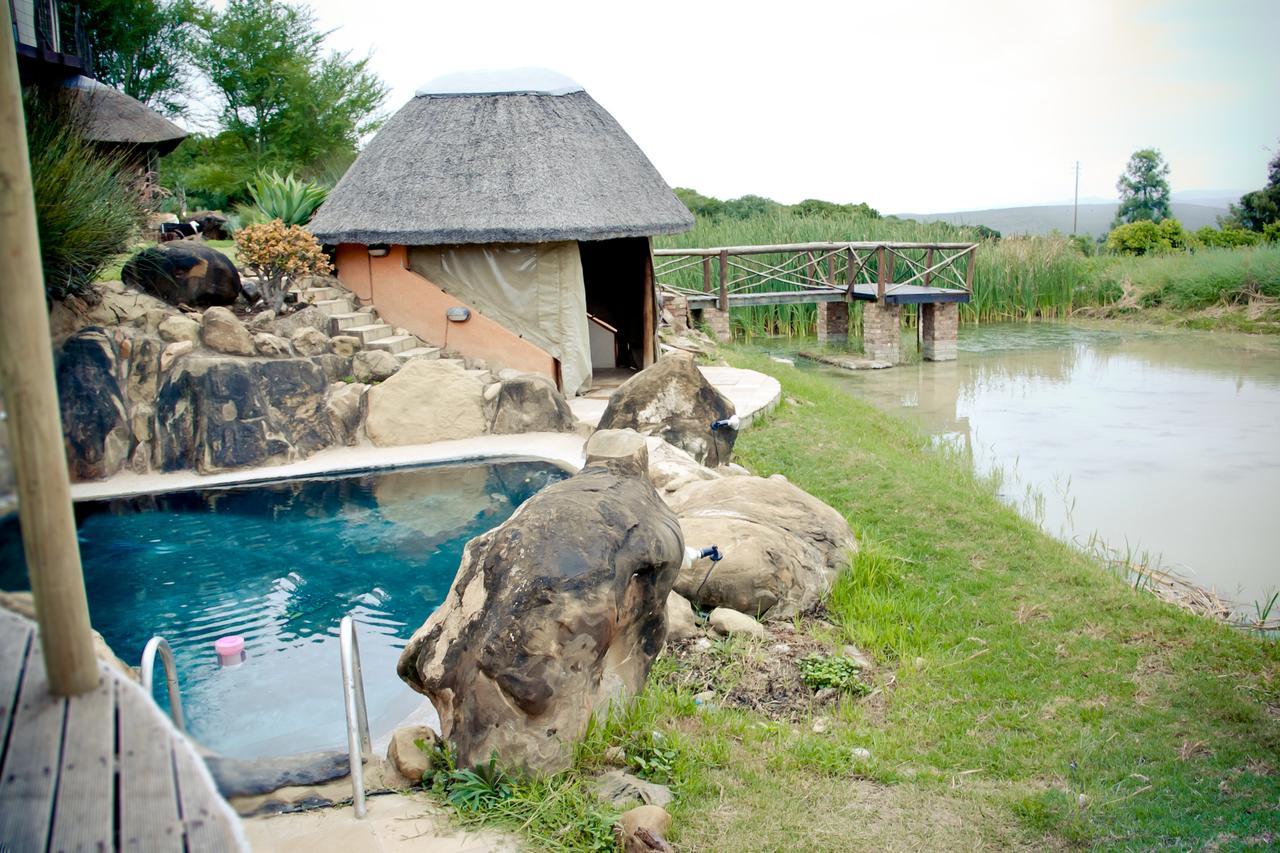 Addo Dung Beetle Guest Farm Villa Ngoại thất bức ảnh