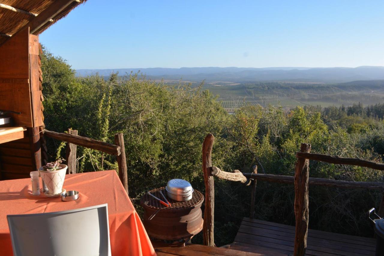 Addo Dung Beetle Guest Farm Villa Ngoại thất bức ảnh