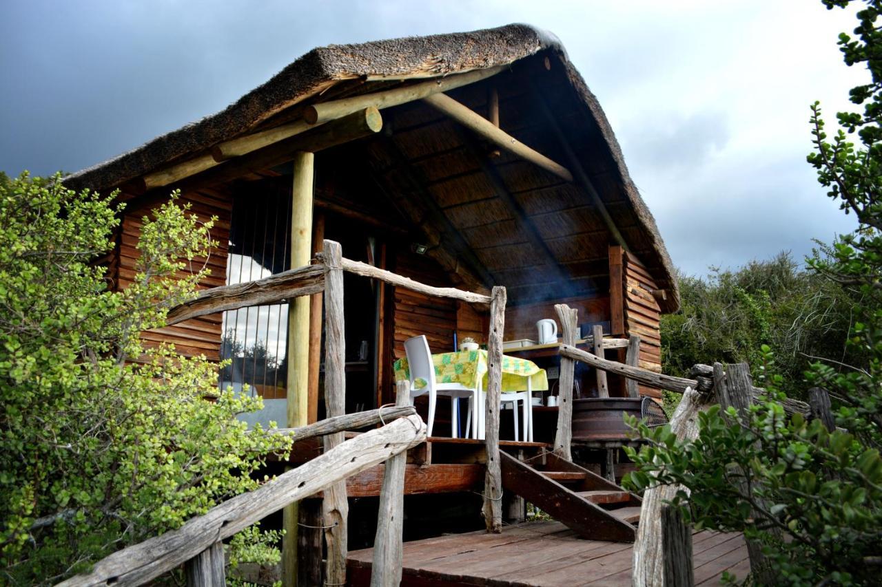 Addo Dung Beetle Guest Farm Villa Ngoại thất bức ảnh