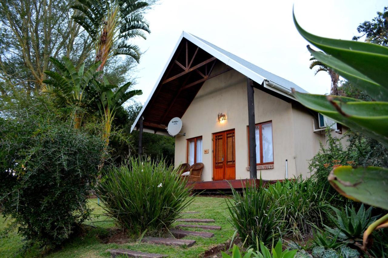 Addo Dung Beetle Guest Farm Villa Ngoại thất bức ảnh