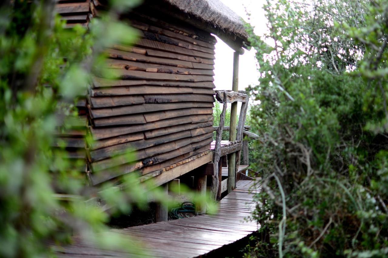 Addo Dung Beetle Guest Farm Villa Ngoại thất bức ảnh