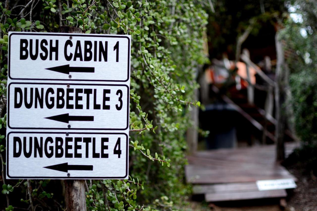 Addo Dung Beetle Guest Farm Villa Ngoại thất bức ảnh